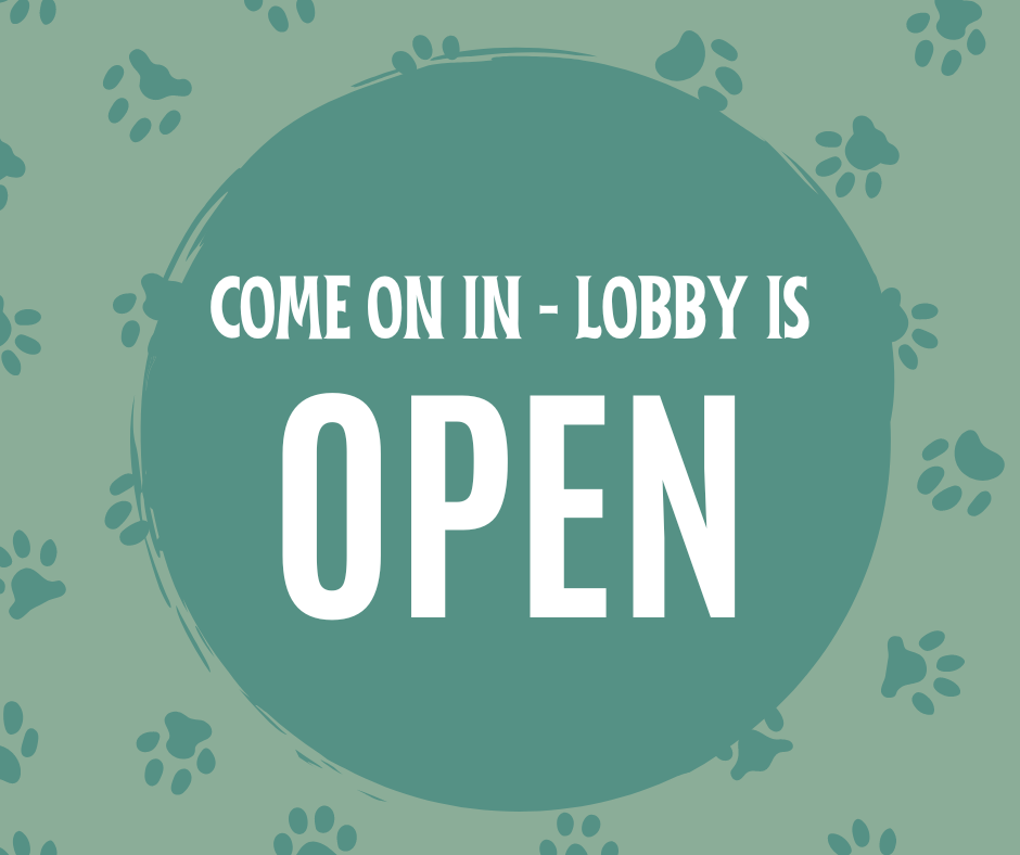 Open Lobby